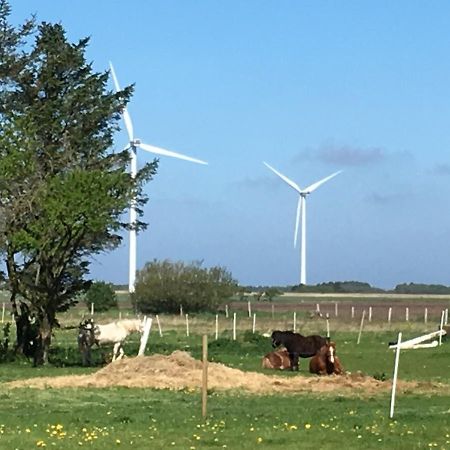 Gaestehuset “Vesterhede” Ringkøbing Buitenkant foto